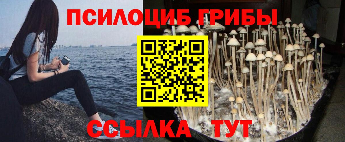 Можайск  Галлюциногенные грибы ЛСД  Вход с VPN  Галлюциногенные грибы Psilocybe 